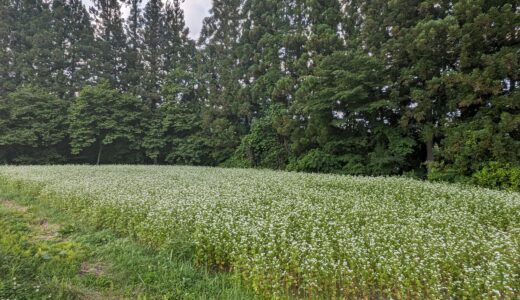 農業と肉体労働