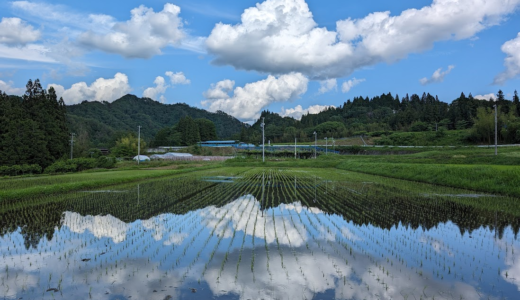 WWOOF旅で出会った絶景