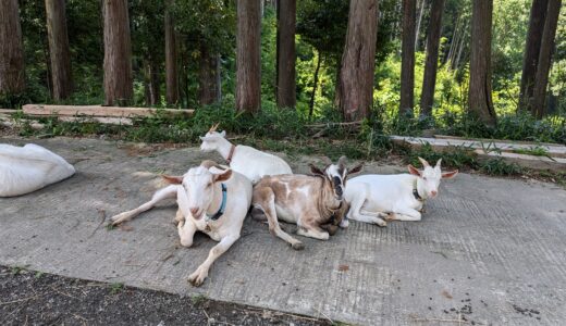 継続って難しい